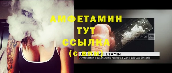 прущие крисы Аркадак