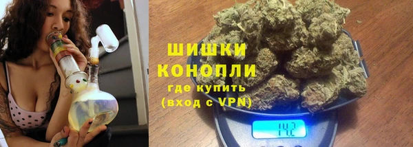 индика Дегтярск