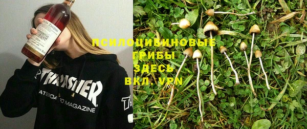 дмт Арсеньев