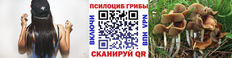 Псилоцибиновые грибы ЛСД  Карачев 